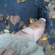 Illustration for article titled Bike crash aftermath pics, blood warning